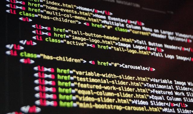 Wordpress web-developer